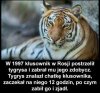 Zemsta