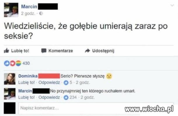 Biedna
