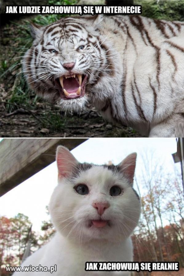 Internet vs życie