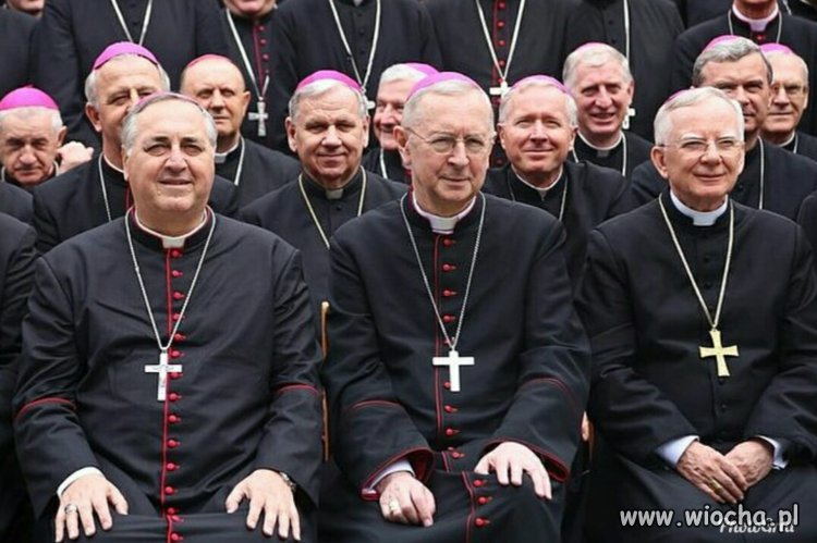 W dziedzinie wyłudzeń mogliby udzielać korepetycji