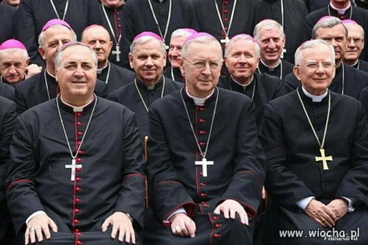 W dziedzinie wyłudzeń mogliby udzielać korepetycji
