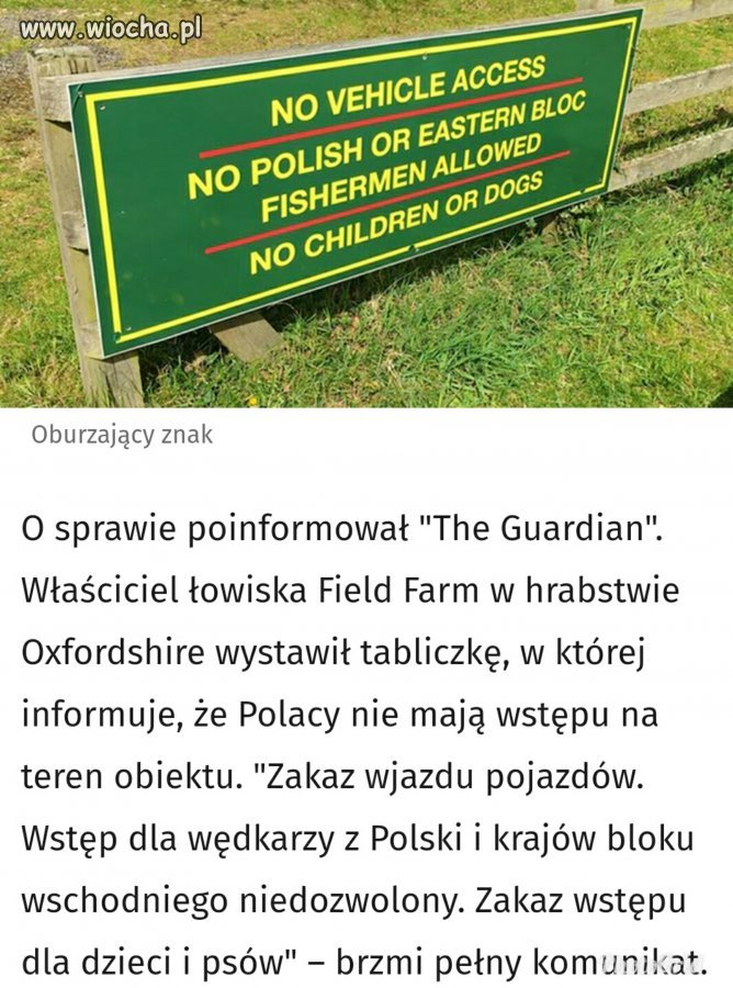 A to wszystko dzięki naszym "elytom"