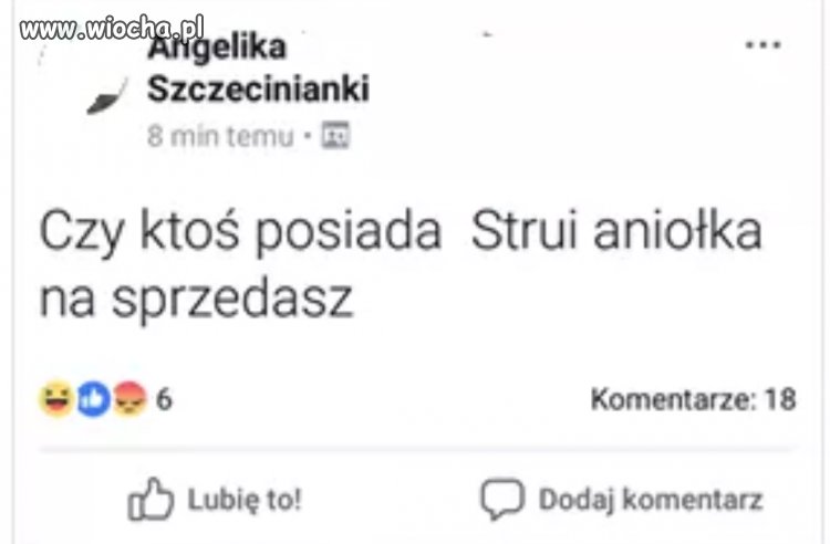 Angelika poszukuje strui