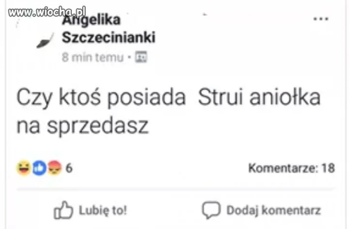 Angelika poszukuje strui