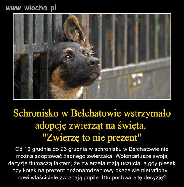 No i brawo.