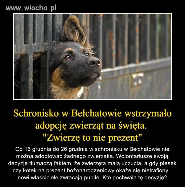 No i brawo.