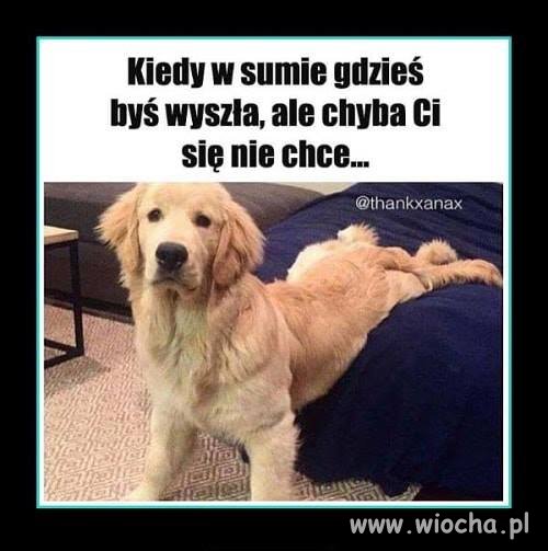 Bez komentarza 