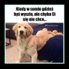 Bez komentarza 