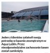 Brak s??w... 