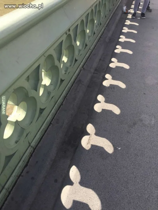 Są wszędzie