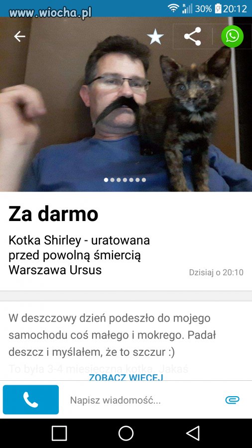 Taka tam kotka 