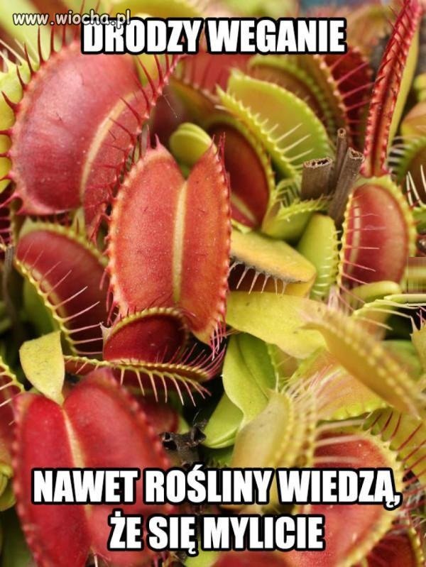 Natura nie kłamie