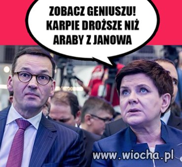 Ulala... stadnina koni w Janowie na skraju