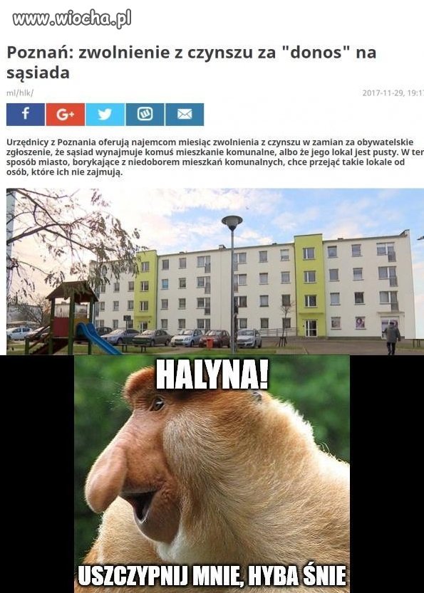 Chyba śnię