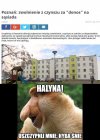 Chyba śnię