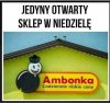 Największa na świecie korporacja 