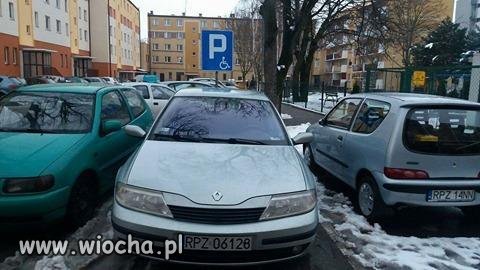 Pozdrowienia dla pana z laguny 