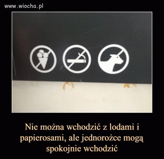 Równi i równiejsi 