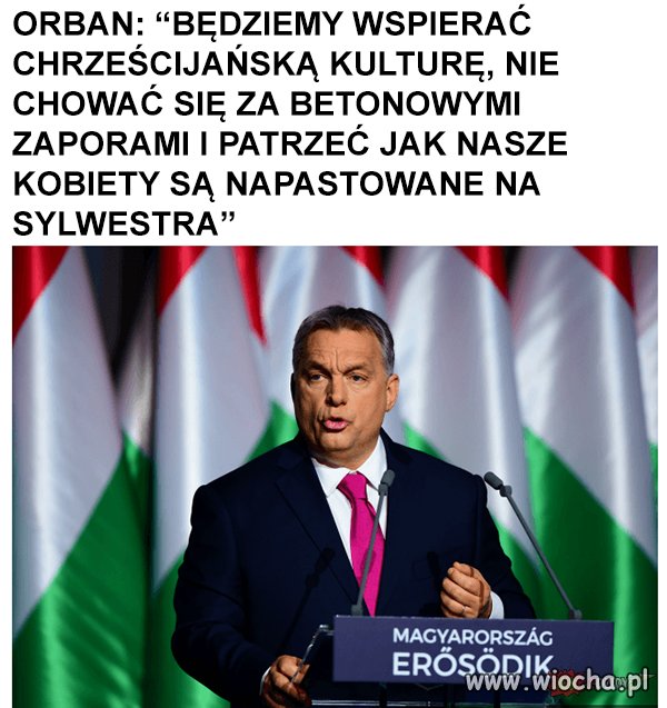Brawo on