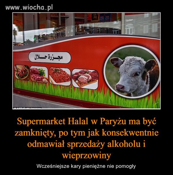 To właściciel decyduje o tym co będzie sprzedawać 