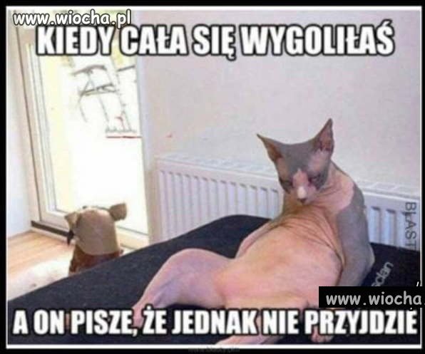 Nie przyjdzie