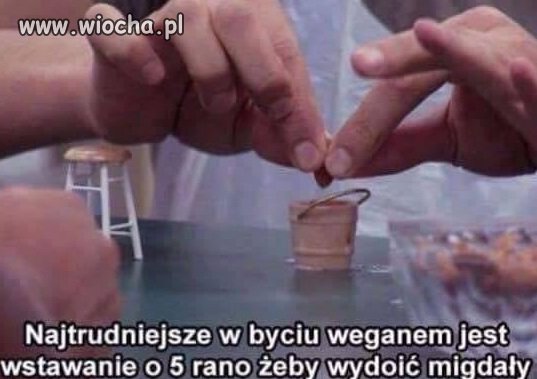 Wole wódę kiełbacha i gorące kobiety