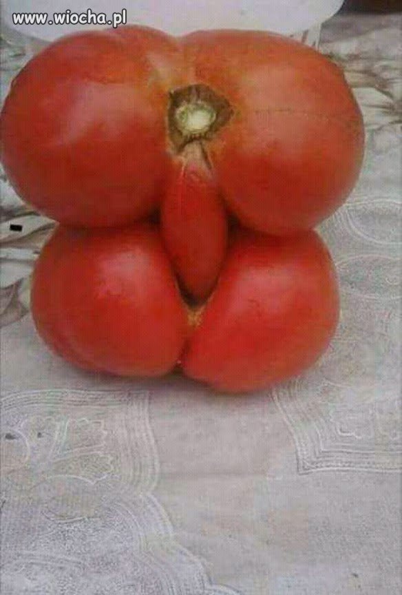 Tak...