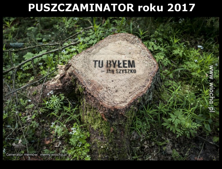 PUSZCZAMINATOR roku 2017