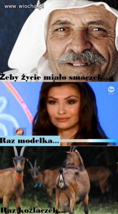 Bez komentarza