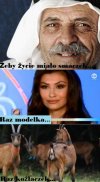 Bez komentarza
