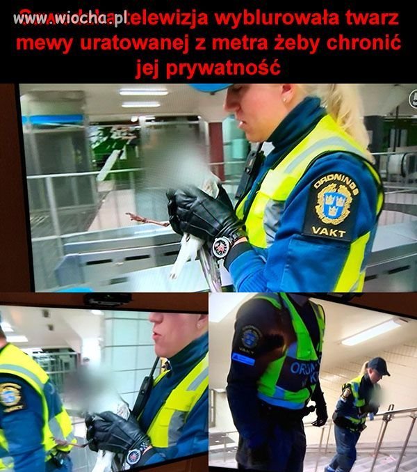 Jeszcze krok dalej...