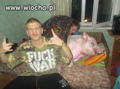 Wolne związki