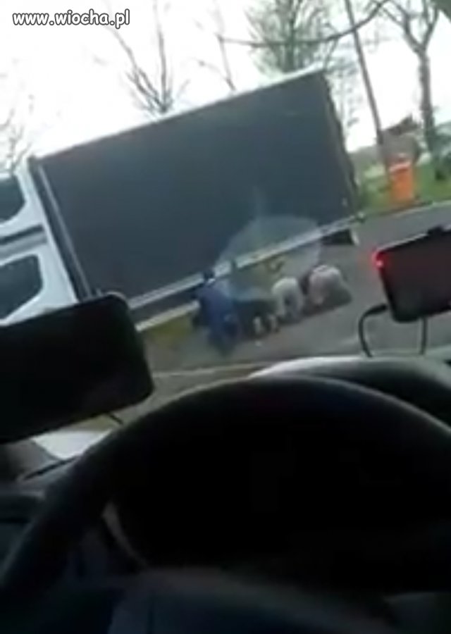 Nowa odmiana islamu