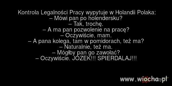 Praca