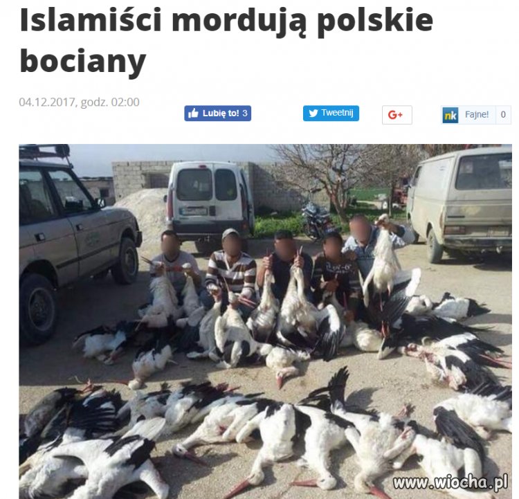 Wyznawcy religii miłości i pokoju