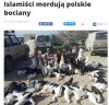 Wyznawcy religii miłości i pokoju
