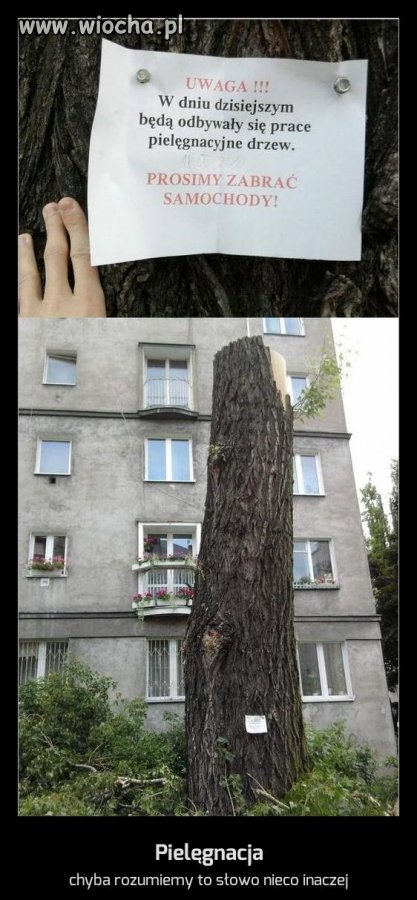Pielęgnacja