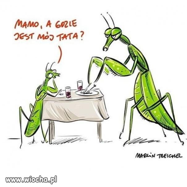 Z cyklu Niewygodne pytania