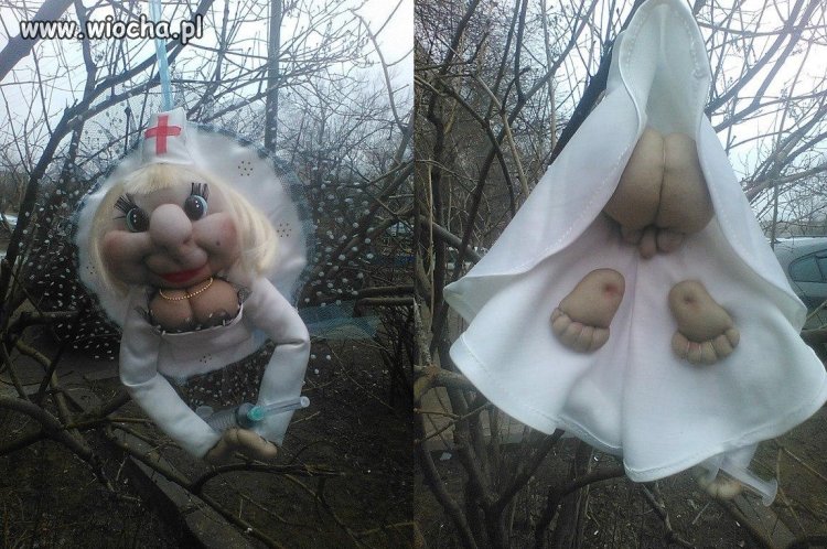 Takie tam wisi w ogrodzie