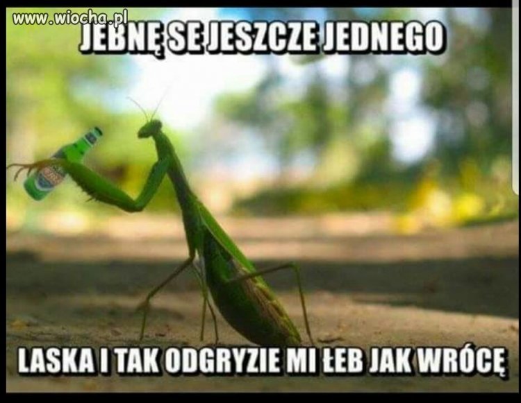 Bo laski takie są...