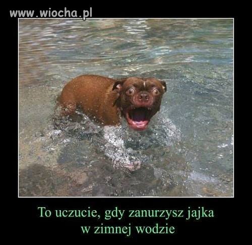 To uczucie