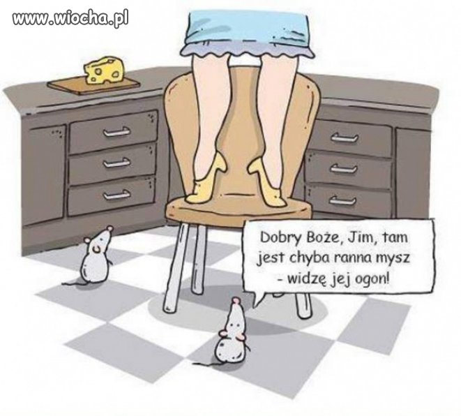 Ranna mysz 