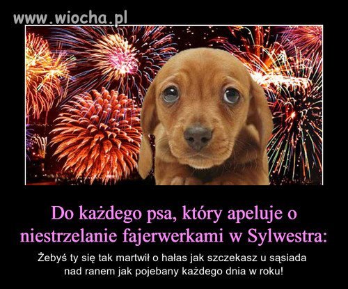 Bez komentarza 