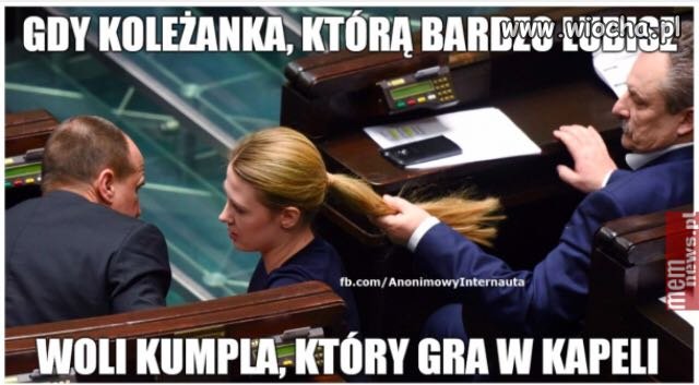 Zazdrośnik 