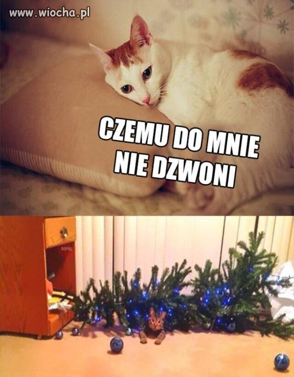 Wszystko jasne