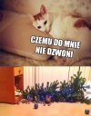 Wszystko jasne