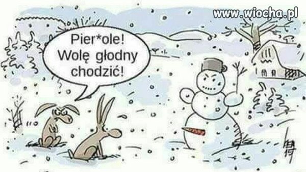 Cwany