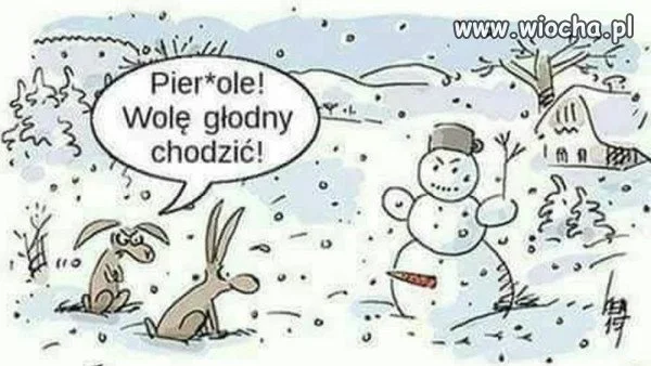 Cwany