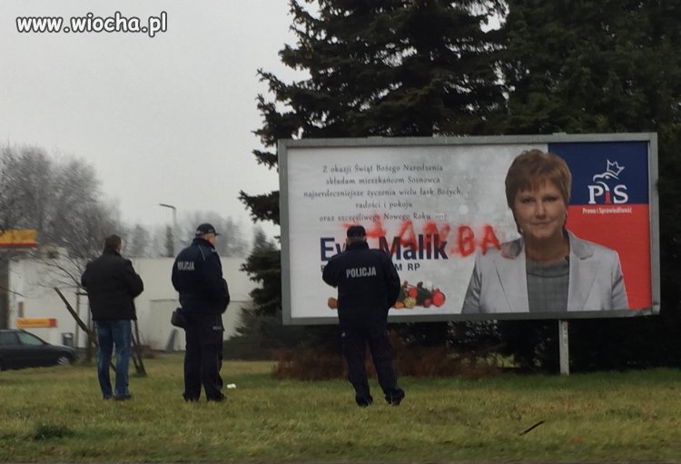 Służby plaszczaka maja pełno roboty