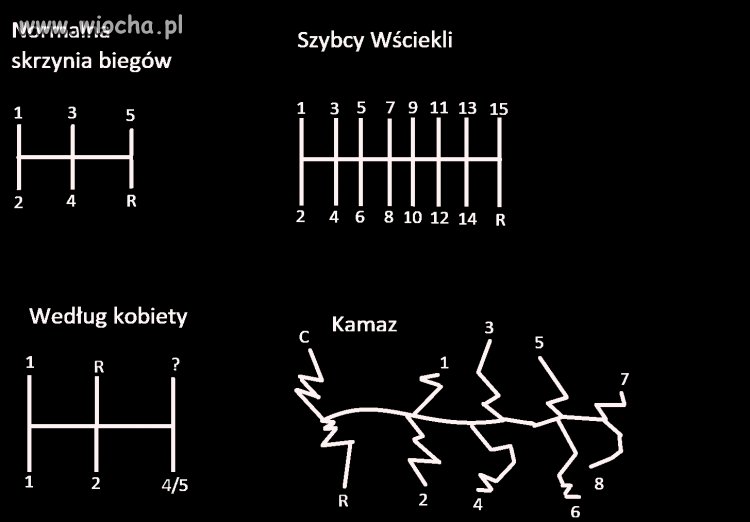 Zamiast polityki